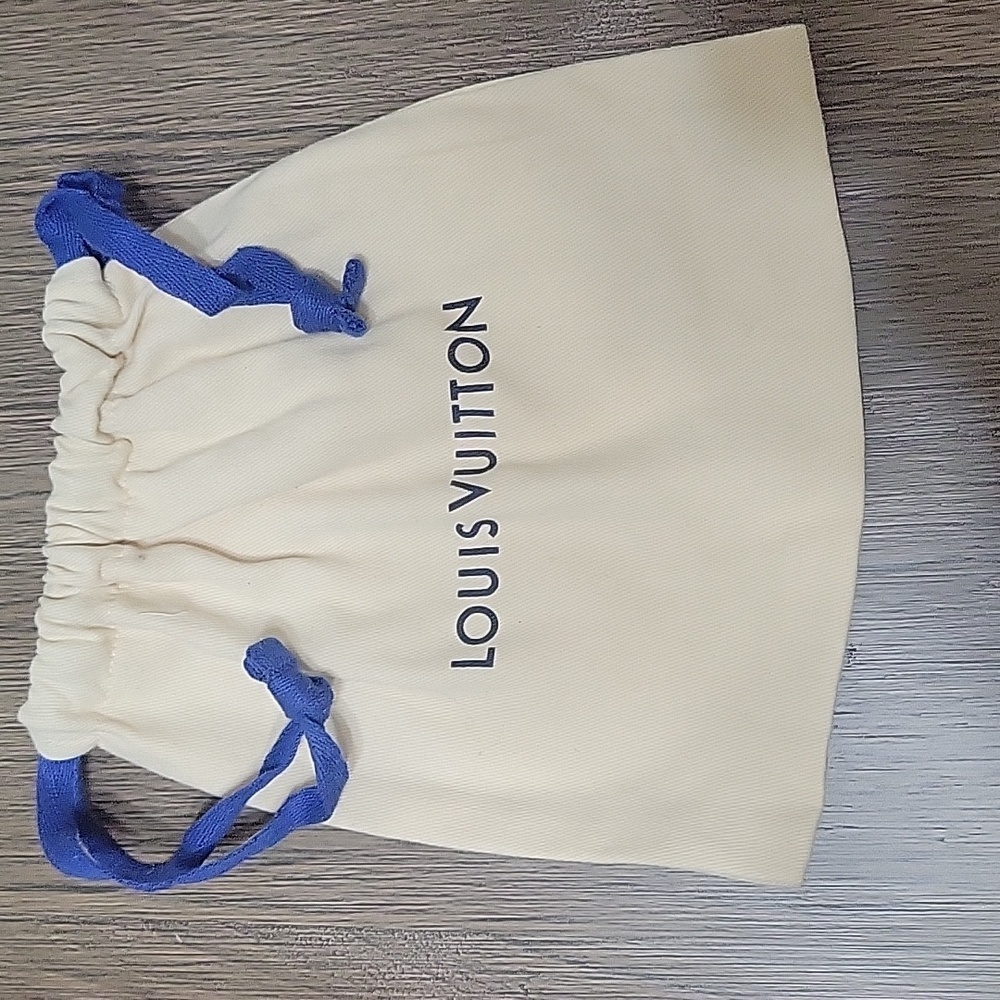 Louis Vuitton small bag